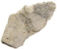 Aubres (Aubrite Type Specimen) 42mg Fragment