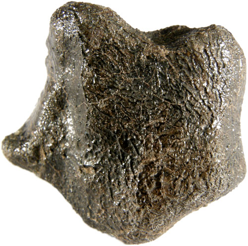 Camel Donga (Eucrite) - 9.3g Oriented Individual.