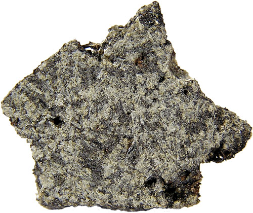 D'Orbigny (Angrite) 1.25g Partslice