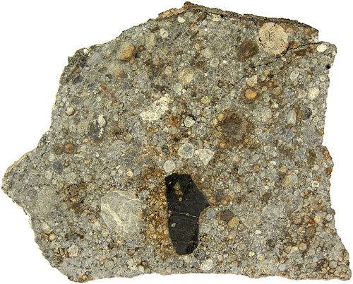 NWA 2933 (L3.3 Regolith Breccia) 10.2g Slice