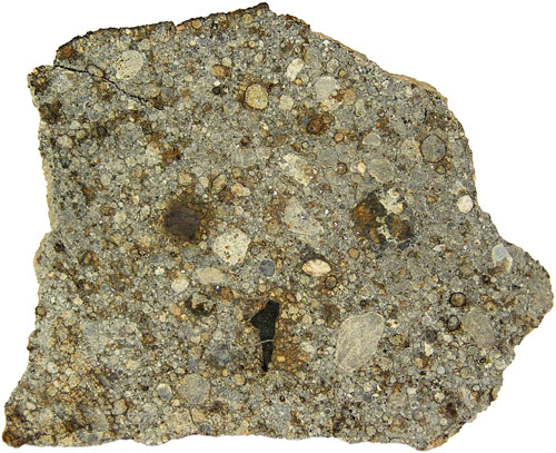 NWA 2933 (L3.3 Regolith Breccia) 10.2g Slice