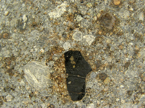 NWA 2933 (L3.3 Regolith Breccia) 10.2g Slice