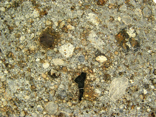 NWA 2933 (L3.3 Regolith Breccia) 10.2g Slice