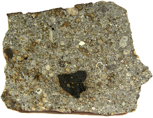 NWA 2933 (L3.3 Regolith Breccia) 19g Slice