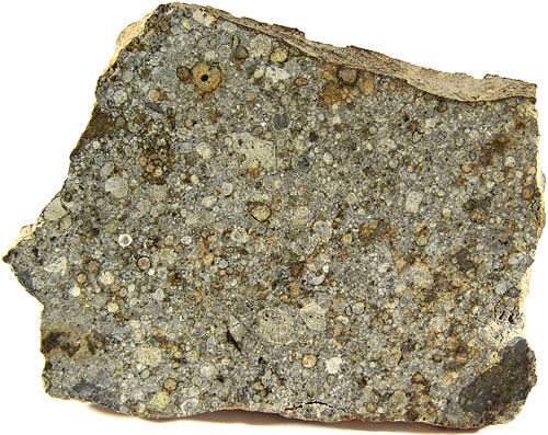 NWA 2933 (L3.3 Regolith Breccia) 19g Slice