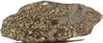 NWA 3099 (L/LL3, S4, W1) 11.80g Slice from First/Original Stone