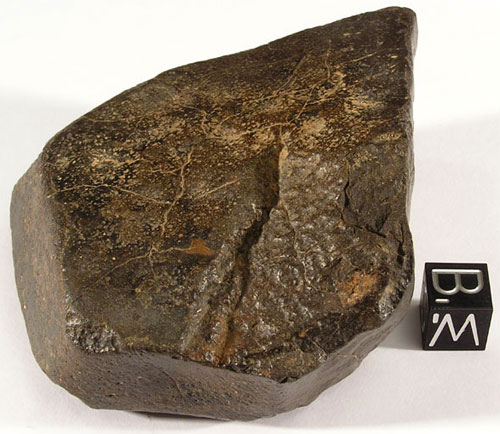 NWA 2733 (CO3.6) - 278.7g Stone Before Slicing