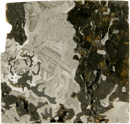 Seymchan (Pallasite) - 219g Slice.