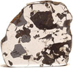 Seymchan (Pallasite) 15.50g Partslice