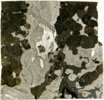 Seymchan (Pallasite) 219g Partslice