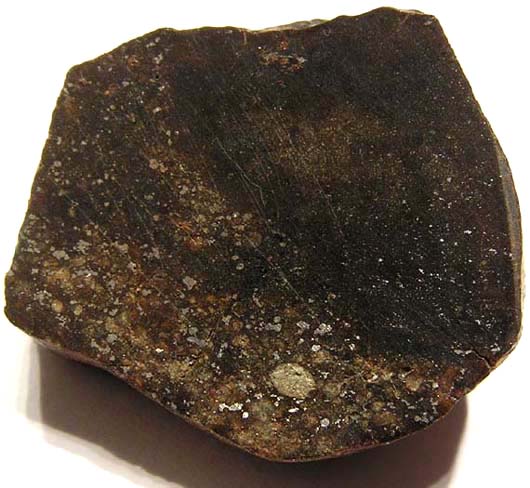 Copyright  2004 - Meteorites Australia