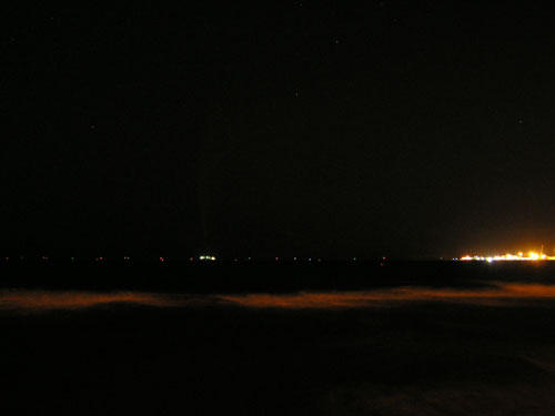 Comet McNaught