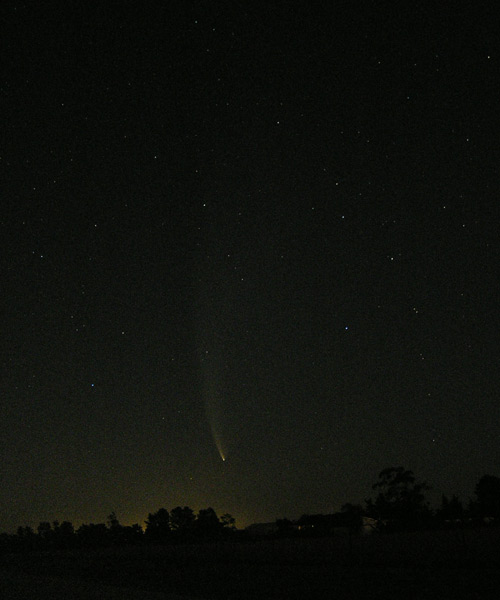 Comet McNaught