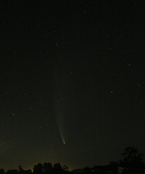 Comet McNaught