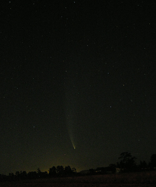 Comet McNaught