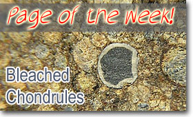 Bleached Chondrules