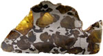 Imilac (Pallasite) 8.4g Half Endcut